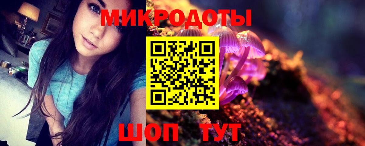 Псилоцибиновые грибы Psilocybine cubensis Железноводск