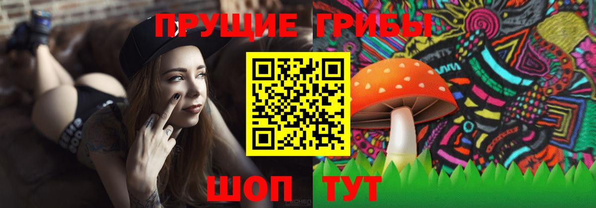 Псилоцибиновые грибы мицелий  купить наркотик  Галлюциногенные грибы Psilocybe  Железноводск  Вход с VPN 